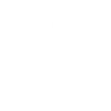 sparkle_01 https://vital.regiedigitale.com/wp-content/uploads/2025/07/sparkle_01-160x160.png
